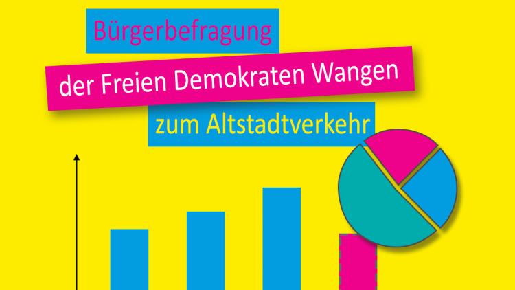 Beispielhafte Diagramme, die das Ergebnis der Bürgerbefragung darstellen sollen.