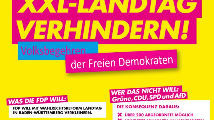 Die FDP will mit einer Wahlrechtsreform den Landtag in Baden-Württemberg verkleinern.