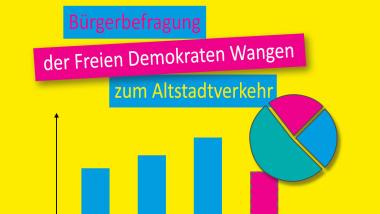 Beispielhafte Diagramme, die das Ergebnis der Bürgerbefragung darstellen sollen.