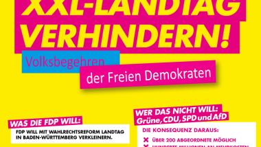 Die FDP will mit einer Wahlrechtsreform den Landtag in Baden-Württemberg verkleinern.